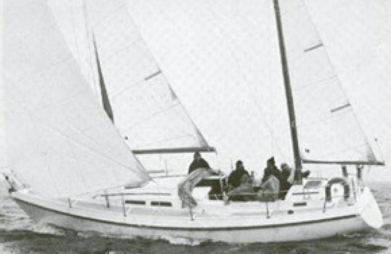 contest yachts 36